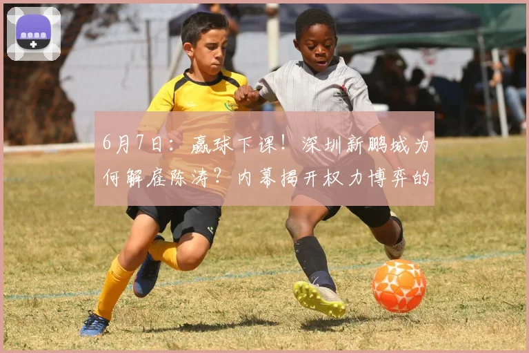 6月7日:赢球下课!深圳新鹏城为何解雇陈涛?内幕揭开权力博弈的遮羞布_丹尼尔·施坦茨_比赛_成绩