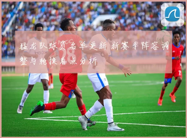 猛龙队球员名单更新 新赛季阵容调整与轮换看点分析