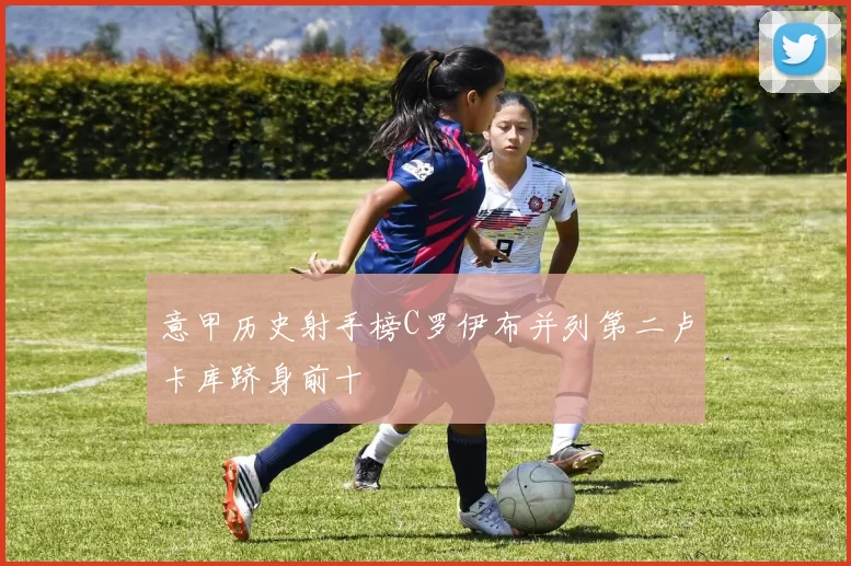 意甲历史射手榜C罗伊布并列第二卢卡库跻身前十